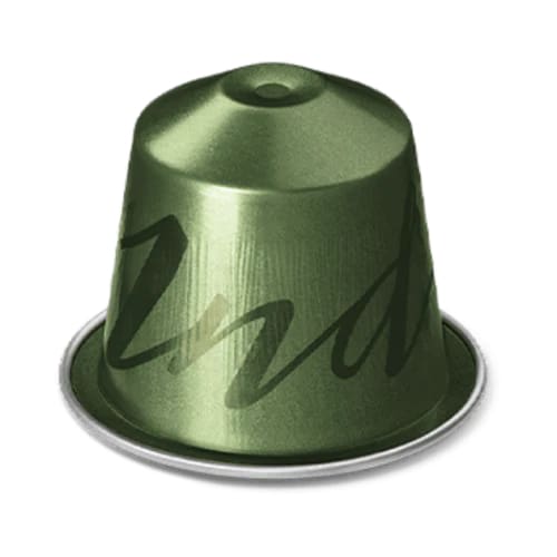 India (Équilibré) India (Équilibré)